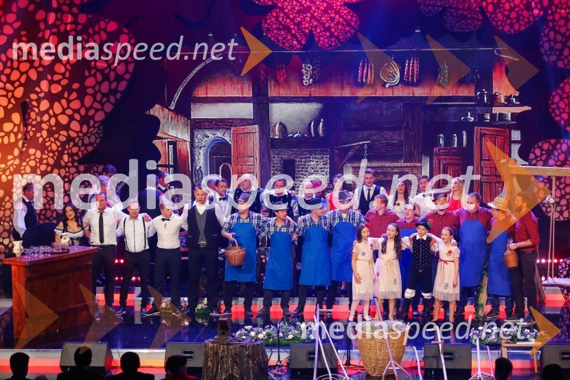 Slovenska polka in valček 2017Slovenska polka in valček 2017