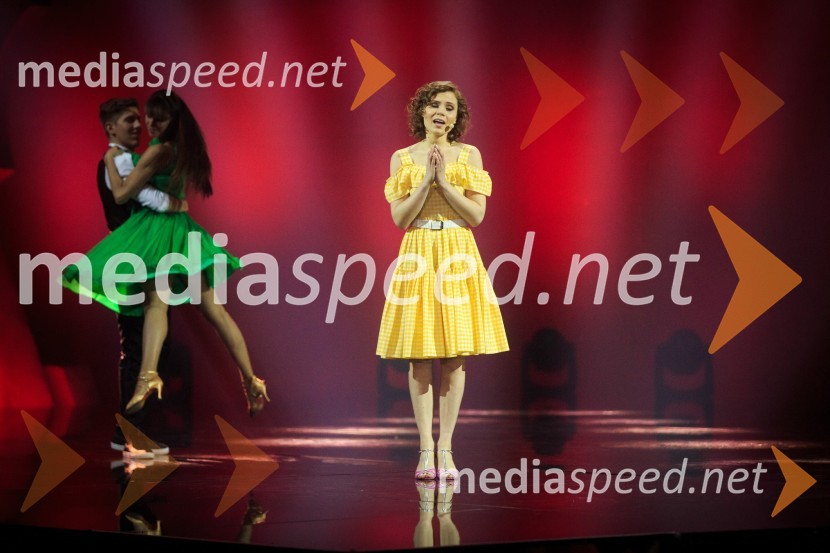 Princ iz pravljice, Muzikal VesnaZmagovalka 41. Popevke je Nuška Drašček