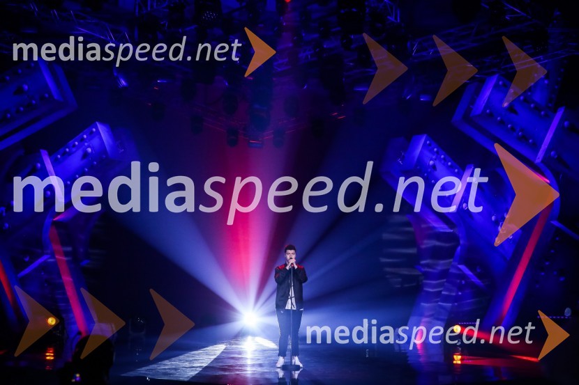  Luka Sešek, pevecZmagovalka Dnevov slovenske zabavne glasbe, Poprock je Anabel