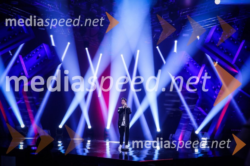  Luka Sešek, pevecZmagovalka Dnevov slovenske zabavne glasbe, Poprock je Anabel