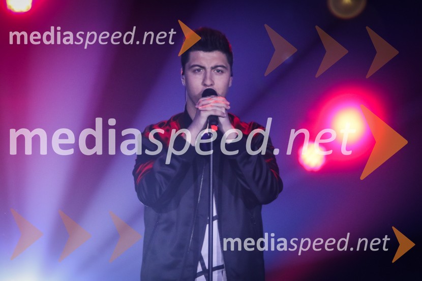  Luka Sešek, pevecZmagovalka Dnevov slovenske zabavne glasbe, Poprock je Anabel