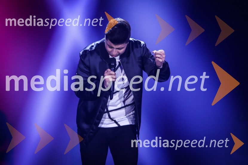  Luka Sešek, pevecZmagovalka Dnevov slovenske zabavne glasbe, Poprock je Anabel