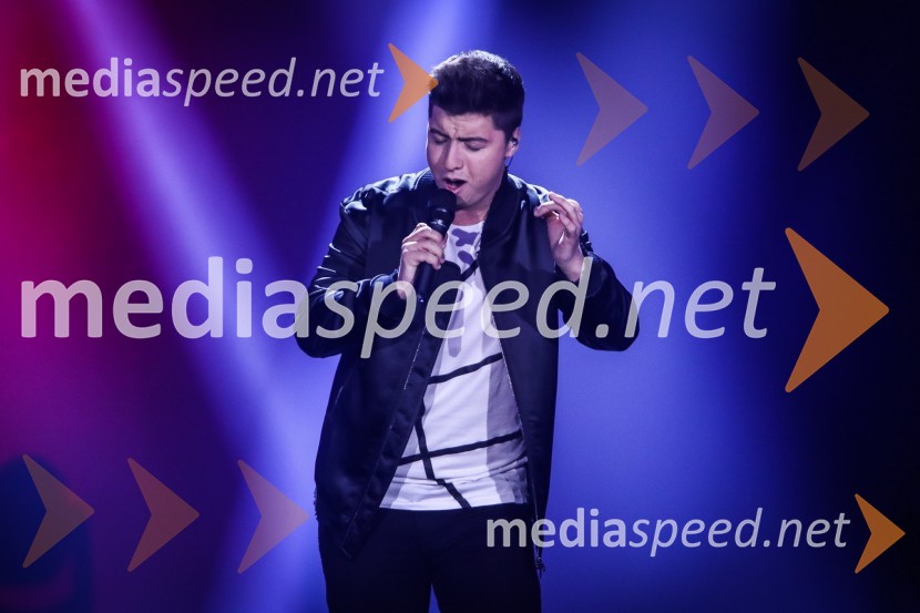  Luka Sešek, pevecZmagovalka Dnevov slovenske zabavne glasbe, Poprock je Anabel