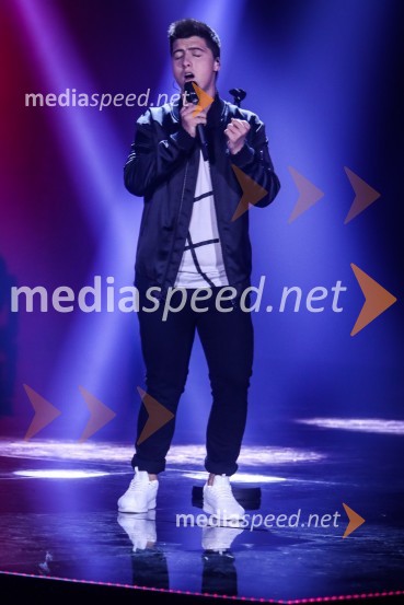  Luka Sešek, pevecZmagovalka Dnevov slovenske zabavne glasbe, Poprock je Anabel