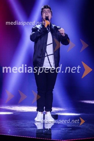  Luka Sešek, pevecZmagovalka Dnevov slovenske zabavne glasbe, Poprock je Anabel