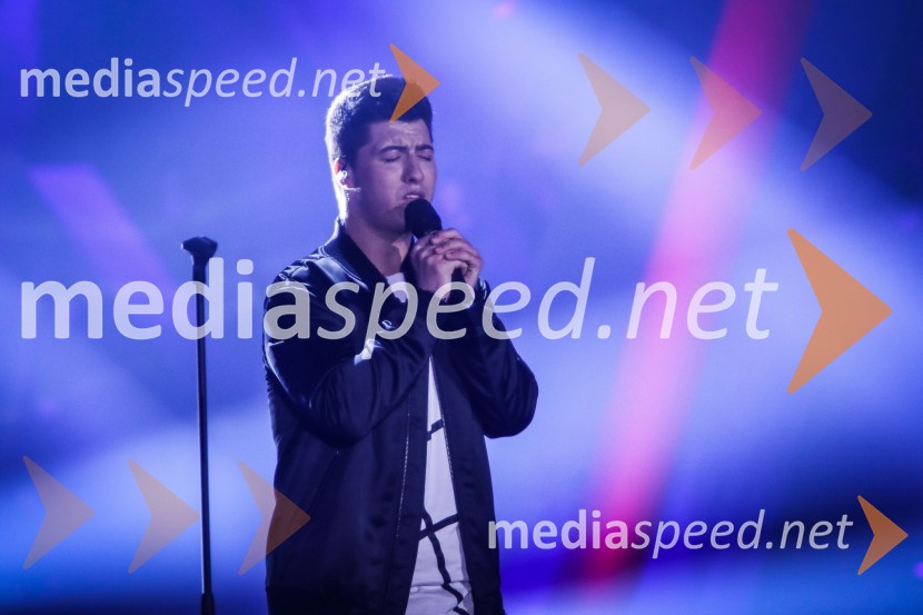  Luka Sešek, pevecZmagovalka Dnevov slovenske zabavne glasbe, Poprock je Anabel