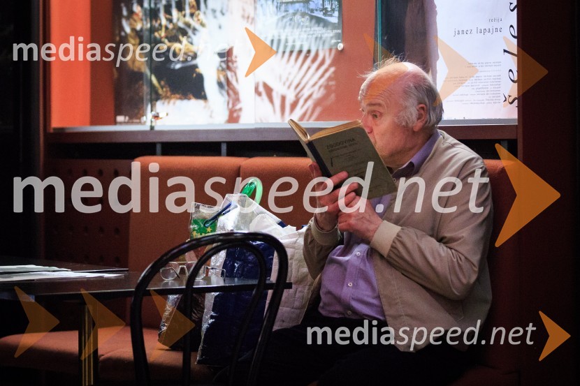 Nagrada bert Ivi Zupančič