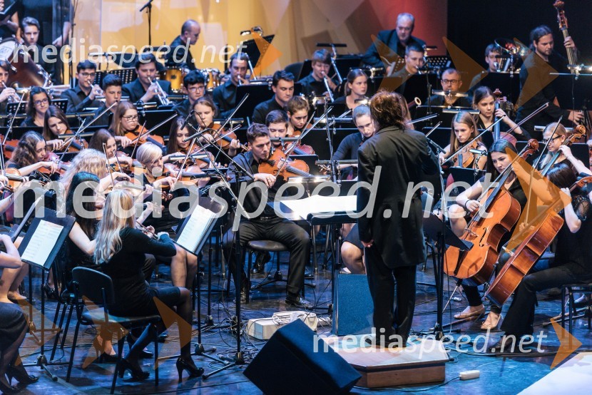 Simfonični orkester Glasbene šole Marjana Kozine iz Novega mesta