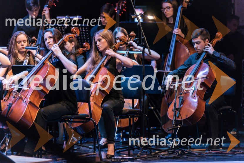 Simfonični orkester Glasbene šole Marjana Kozine iz Novega mesta
