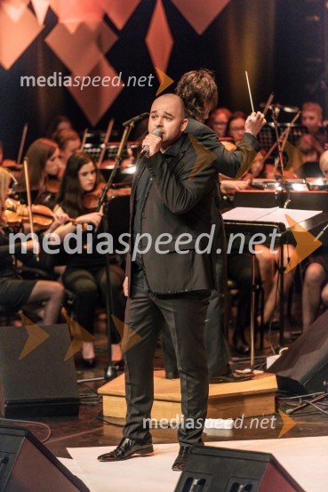  Bort Ross, glasbenik