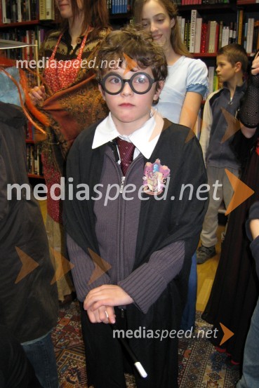 Harry PotterSedma knjiga o Harryju Potterju končno v slovenščini