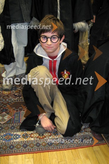 Še eden Harry PotterSedma knjiga o Harryju Potterju končno v slovenščini