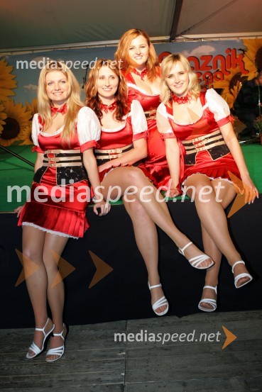 Ansambel Vesele ŠtajerkeLepo 2006 finale