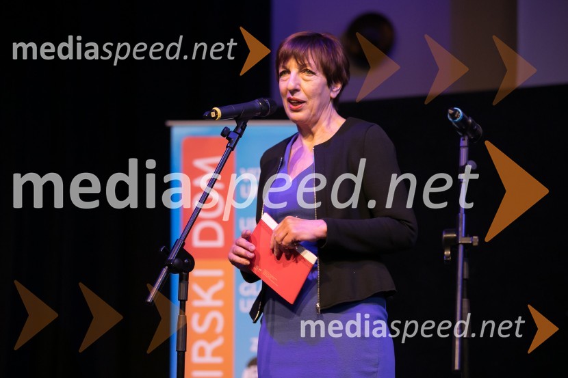  Viktorija  Potočnik, direktorica Pionirskega doma2. LIKfest, zaključna prireditev z izdelavo grafike velikanke