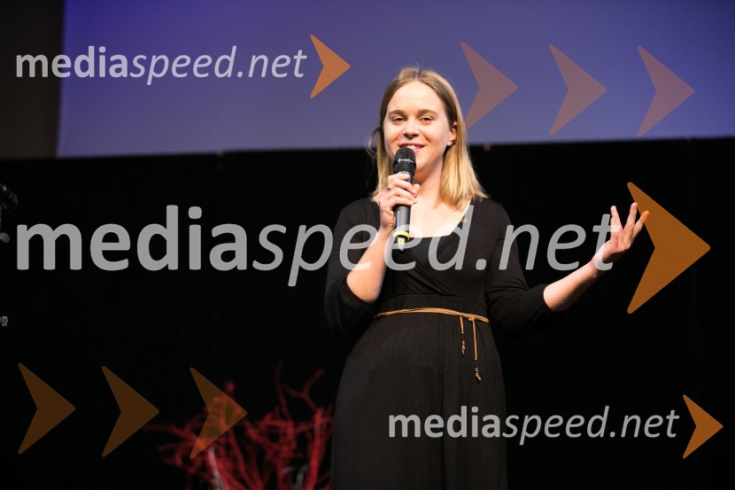 2. LIKfest, zaključna prireditev z izdelavo grafike velikanke