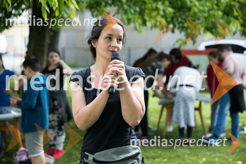  Nina  Koželj, profesorica likovne umetnosti in vodja festivala LIKfest2. LIKfest, zaključna prireditev z izdelavo grafike velikanke