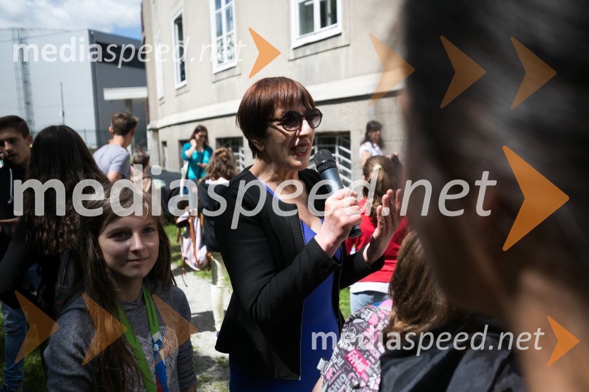  Viktorija  Potočnik, direktorica Pionirskega doma2. LIKfest, zaključna prireditev z izdelavo grafike velikanke