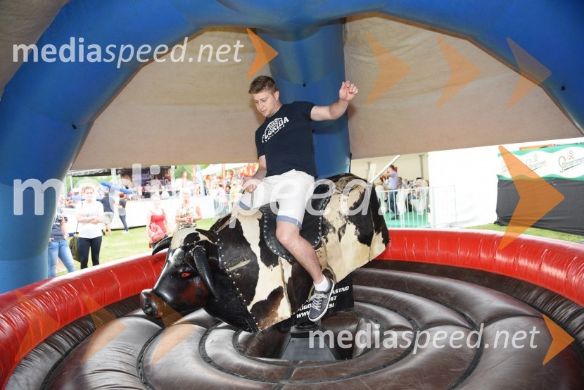Aktualov koncert in največja Roštiljada v Sloveniji
