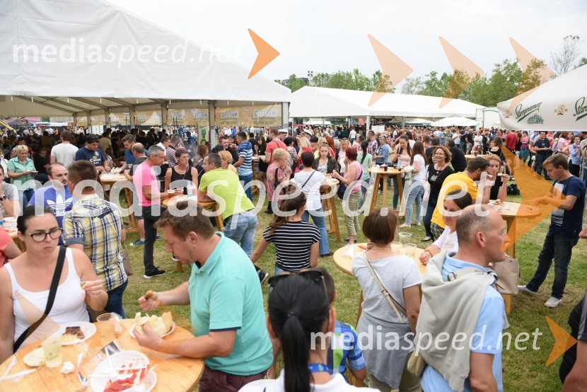 Aktualov koncert in največja Roštiljada v SlovenijiAktualov koncert in največja Roštiljada v Sloveniji