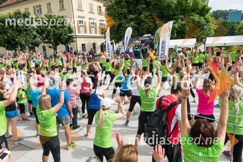 1. Afroditin tek1. Afroditin tek