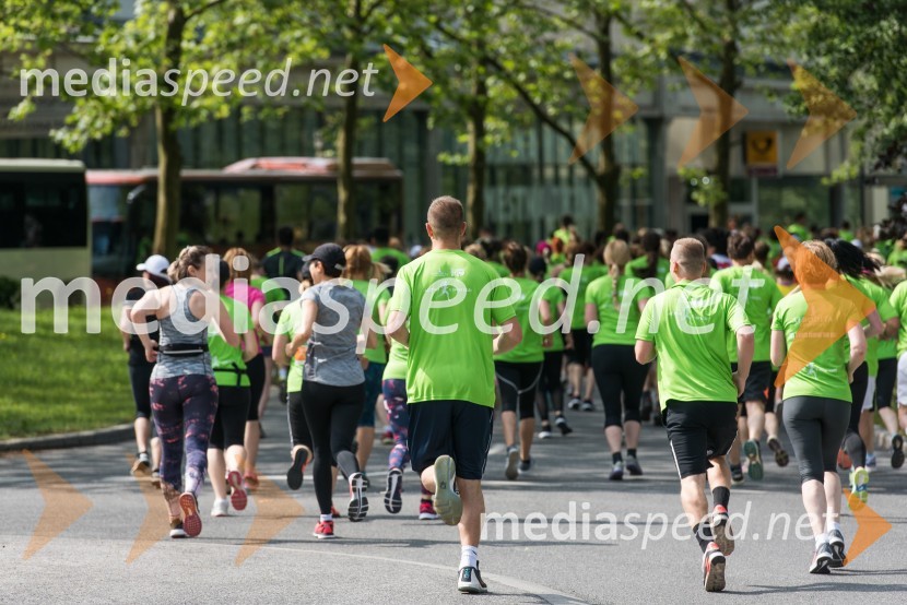 1. Afroditin tek1. Afroditin tek