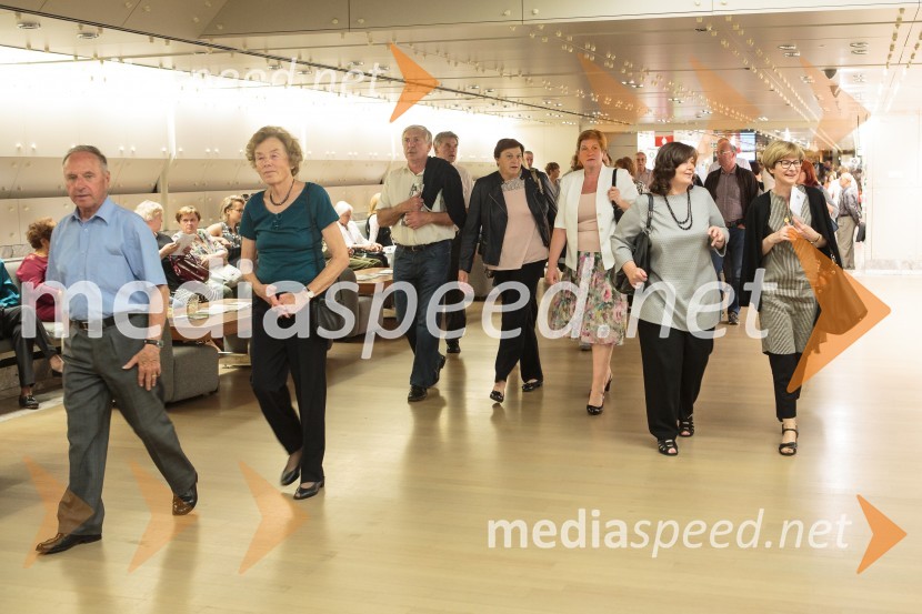 Vita Mavrič, Veliki koncert šansonovVita Mavrič, Veliki koncert šansonov