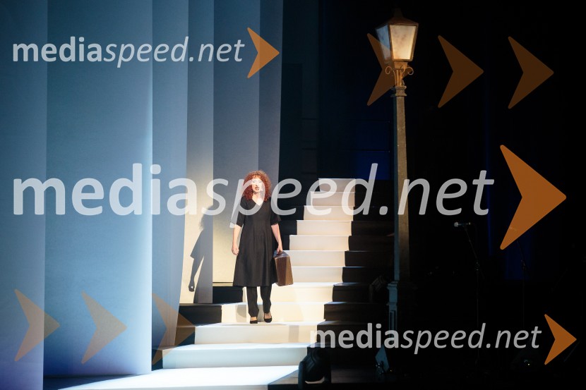  Vita Mavrič, šansonjerkaVita Mavrič, Veliki koncert šansonov