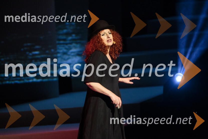  Vita Mavrič, šansonjerkaVita Mavrič, Veliki koncert šansonov