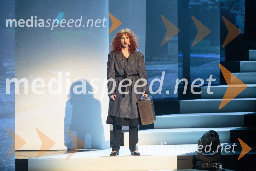  Vita Mavrič, šansonjerkaVita Mavrič, Veliki koncert šansonov