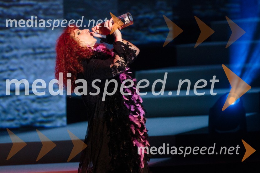  Vita Mavrič, šansonjerkaVita Mavrič, Veliki koncert šansonov