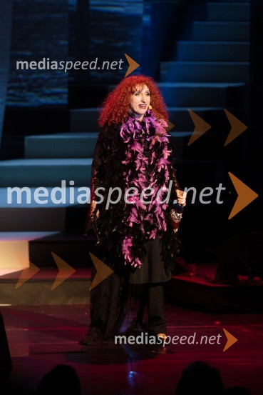  Boris Benko, skupina SilenceVita Mavrič, Veliki koncert šansonov