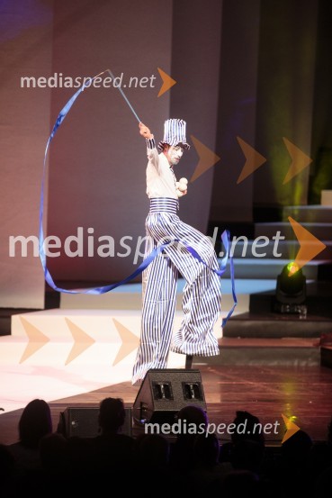 Vita Mavrič, Veliki koncert šansonov