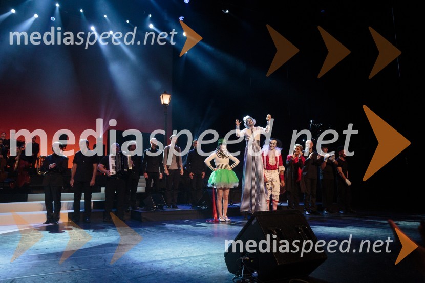 Vita Mavrič, Veliki koncert šansonov