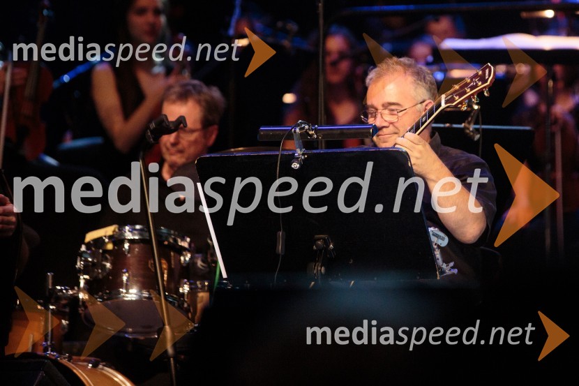 Vita Mavrič, Veliki koncert šansonov