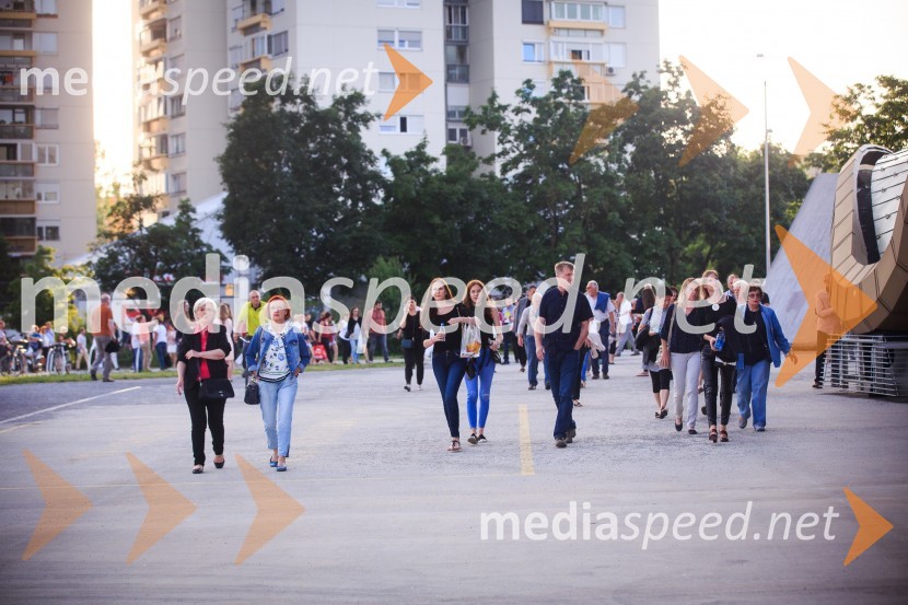 Koncert violinista Andre Rieu z Orkestrom Johanna StraussaAndre Rieu, koncert priznanega violinista