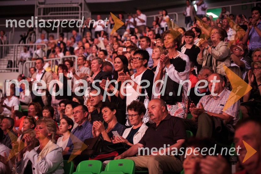 Koncert violinista Andre Rieu z Orkestrom Johanna StraussaAndre Rieu, koncert priznanega violinista