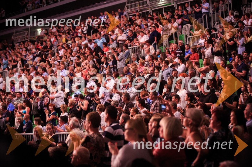 Koncert violinista Andre Rieu z Orkestrom Johanna StraussaAndre Rieu, koncert priznanega violinista