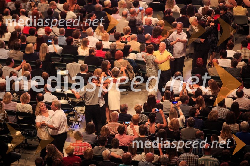 Koncert violinista Andre Rieu z Orkestrom Johanna StraussaAndre Rieu, koncert priznanega violinista