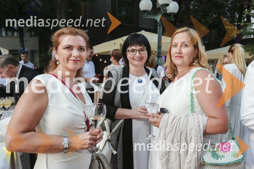  Dolores Podbevšek, direktorica marketinga Delo, d.o.o.;  Nataša  Luša, prokuristka, Delo d.o.o.; mag. Irma Gubanec, direktorica, Delo, d.o.o.VIP druženje pod zvezdami  z revijo Suzy