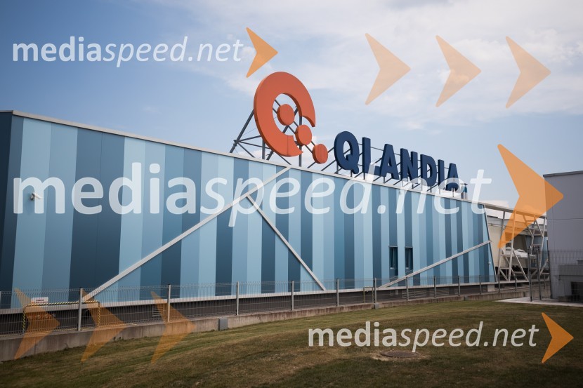 Qlandia KamnikQlandia Kamnik