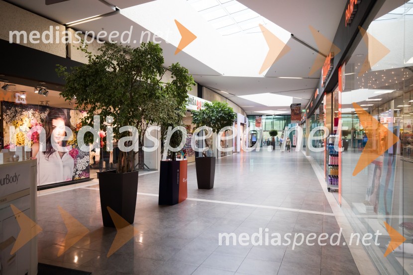 Qlandia KamnikQlandia Kamnik