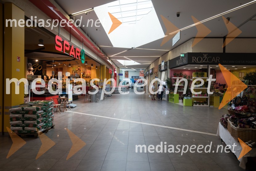 Qlandia KamnikQlandia Kamnik