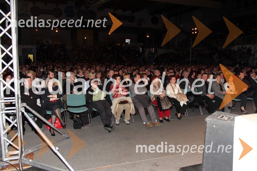 Obiskovalci Parade humorjaParada humorja 2008