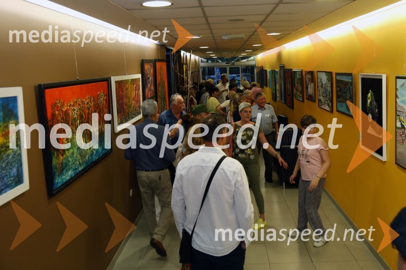 Likovna razstava Cuba & Slovenija