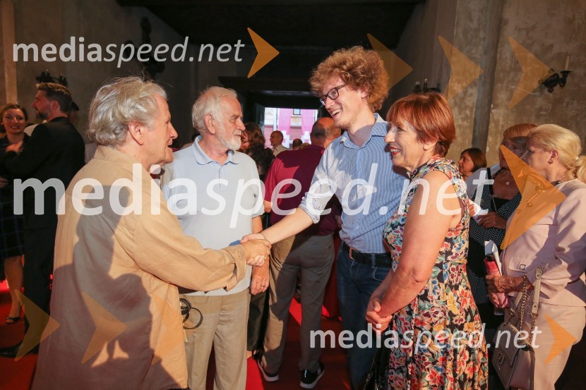  Mirsad Begić, kipar in risar;  Mitja Meršol, novinar in politik;  ... ;  Viktorija  Potočnik, direktorica Pionirskega domaHommage Negovanu Nemcu: Trideset let pozneje, otvoritev razstave