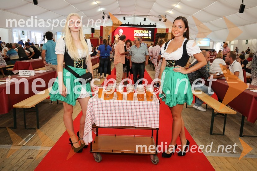 Festival Avsenik 2017, sobotaFestival Avsenik 2017, sobota