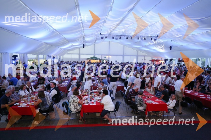 Festival Avsenik 2017, sobotaFestival Avsenik 2017, sobota