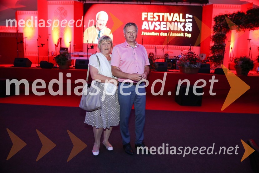 Festival Avsenik 2017, sobota