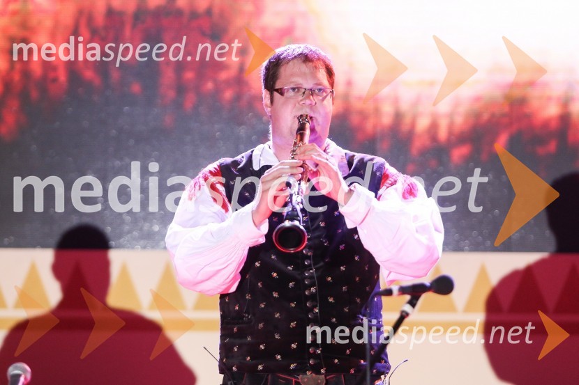  Mitja Skočaj, Ansambel Slavka AvsenikaFestival Avsenik 2017, sobota