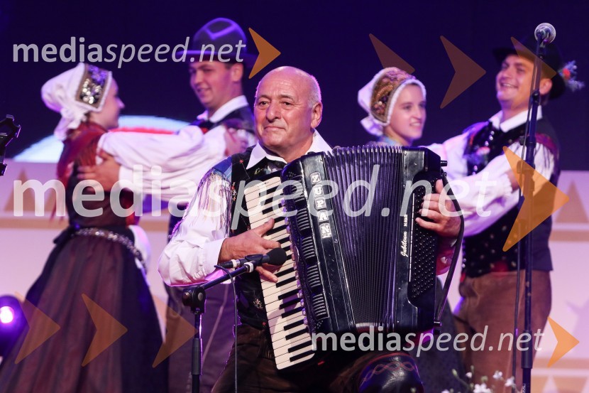 Festival Avsenik 2017, sobota